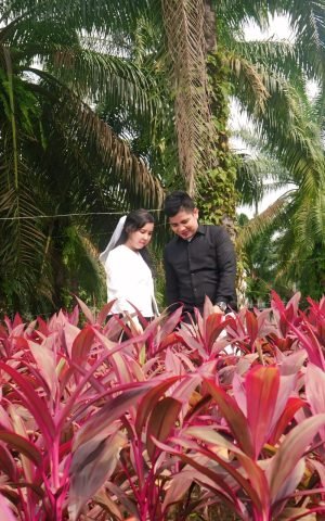 IMG-20260311-WA0003